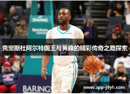 克里斯杜阿尔特国王与黄蜂的精彩传奇之路探索 克里斯杜阿尔特国王与黄蜂的精彩传奇之路探索