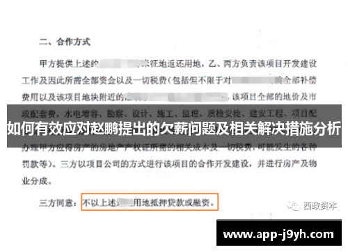 如何有效应对赵鹏提出的欠薪问题及相关解决措施分析