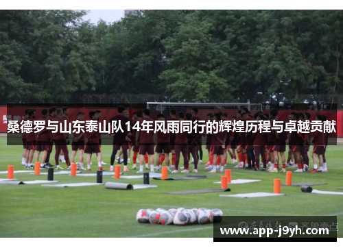桑德罗与山东泰山队14年风雨同行的辉煌历程与卓越贡献