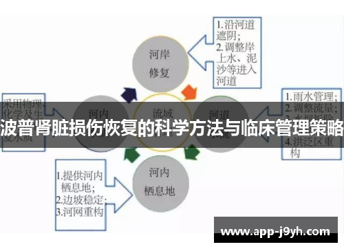 波普肾脏损伤恢复的科学方法与临床管理策略