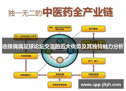 选择偶偶足球论坛交流的五大优势及其独特魅力分析 选择偶偶足球论坛交流的五大优势及其独特魅力分析